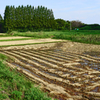 初秋の田園　② 収穫終えて