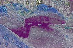 名草巨石群　⑤ 弁天沢で Ⅲ