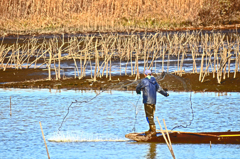 冬の遊水地　投網漁をする人