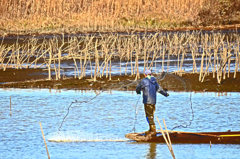 冬の遊水地　投網漁をする人