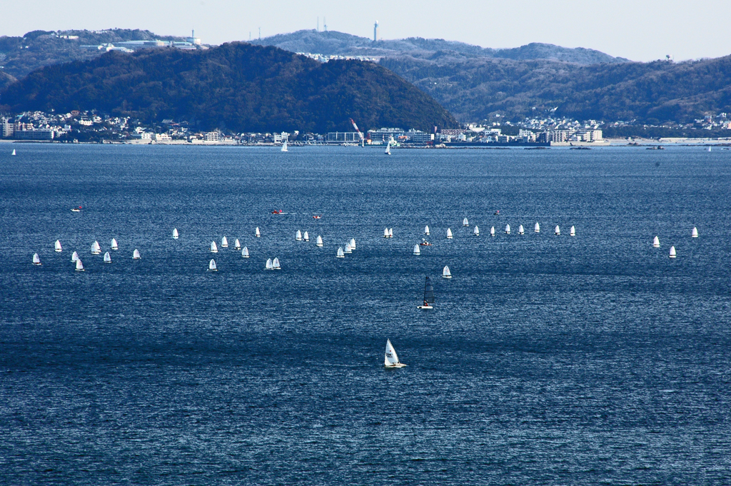 江の島　③青い海に白い帆いっぱい・・真冬です
