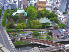 東京散歩　⑤ 箱庭のような湯島聖堂