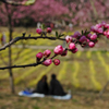 私たちの春　  花桃の蕾の下で