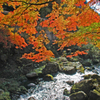 蓬莱山　➀ 紅葉と流れ