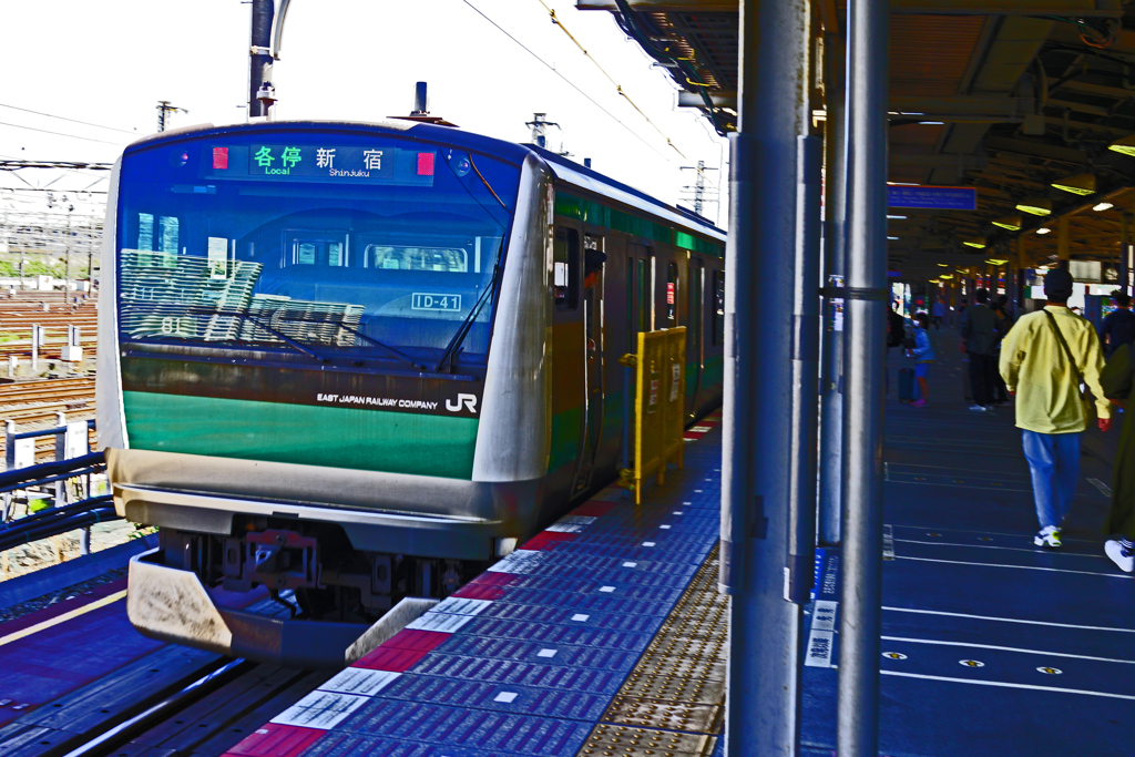 相模鉄道 都心へ　②新宿 行