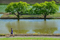 緑は目にやさしい