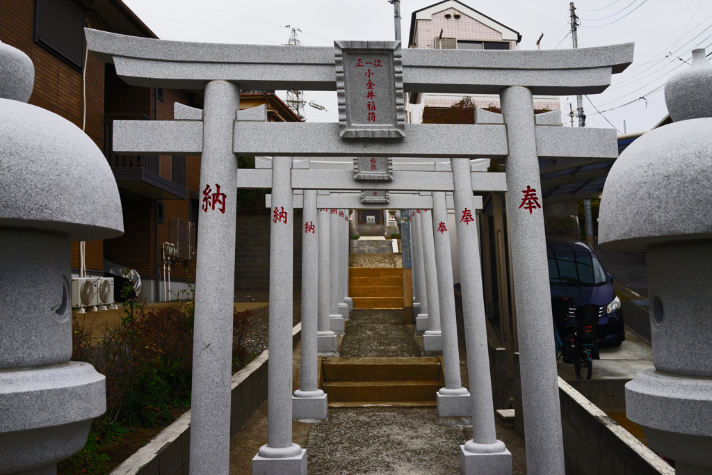 白い鳥居