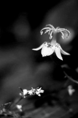 mono paint#021