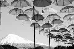 Monochrome_15
