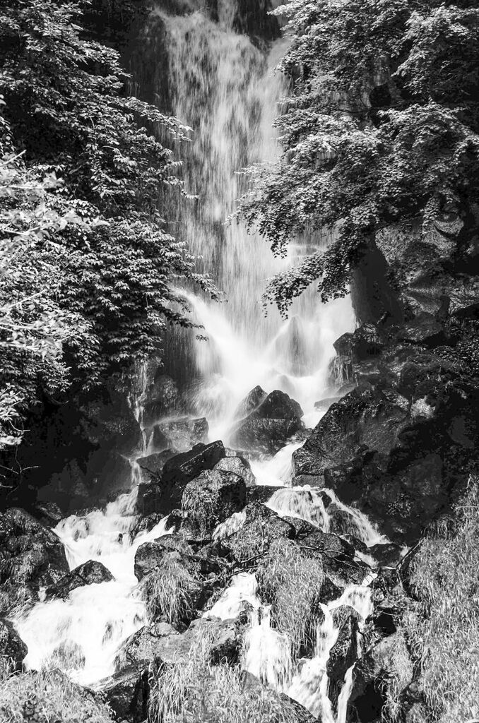 mono paint#008