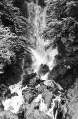 mono paint#008