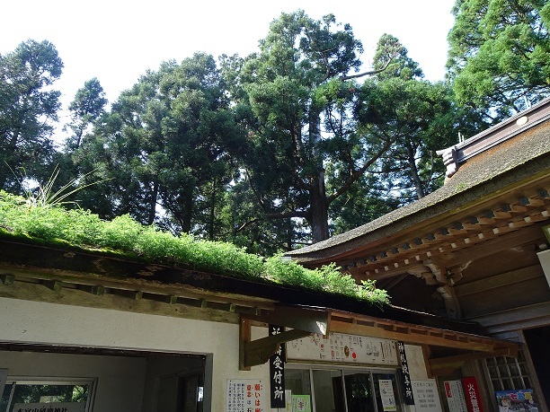 ToGa JinJa@Mt.HonGu