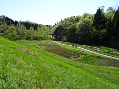 tSubaTa gREen laNd