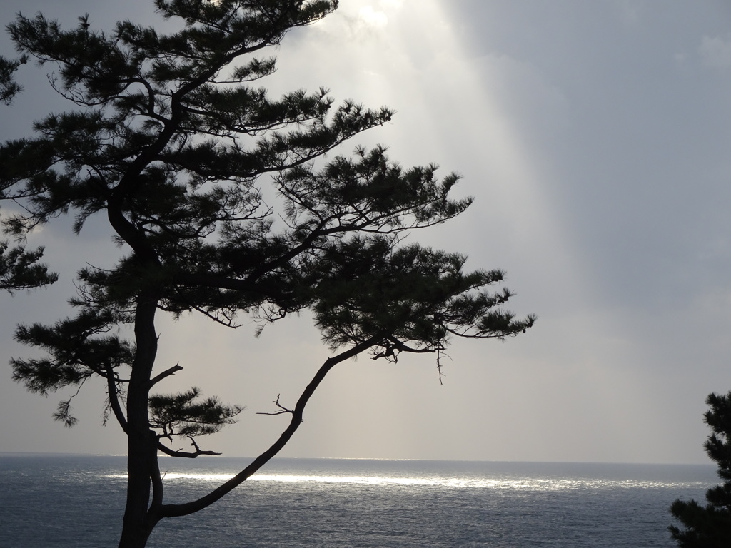 spOt liGhT