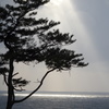 spOt liGhT