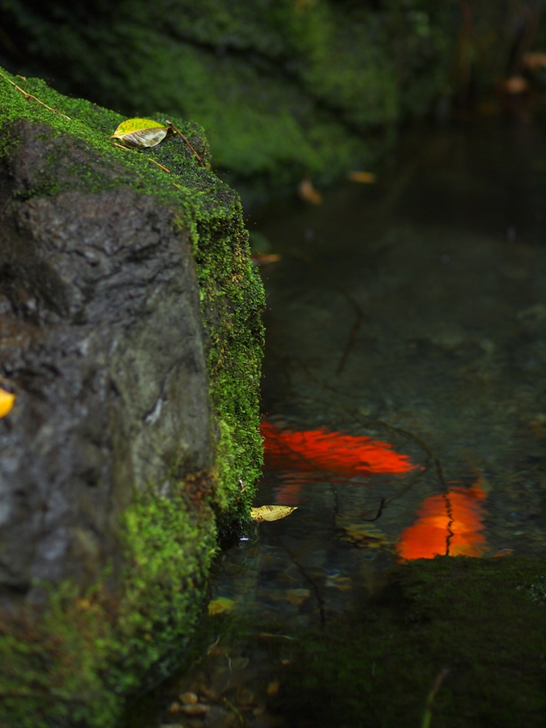 静寂