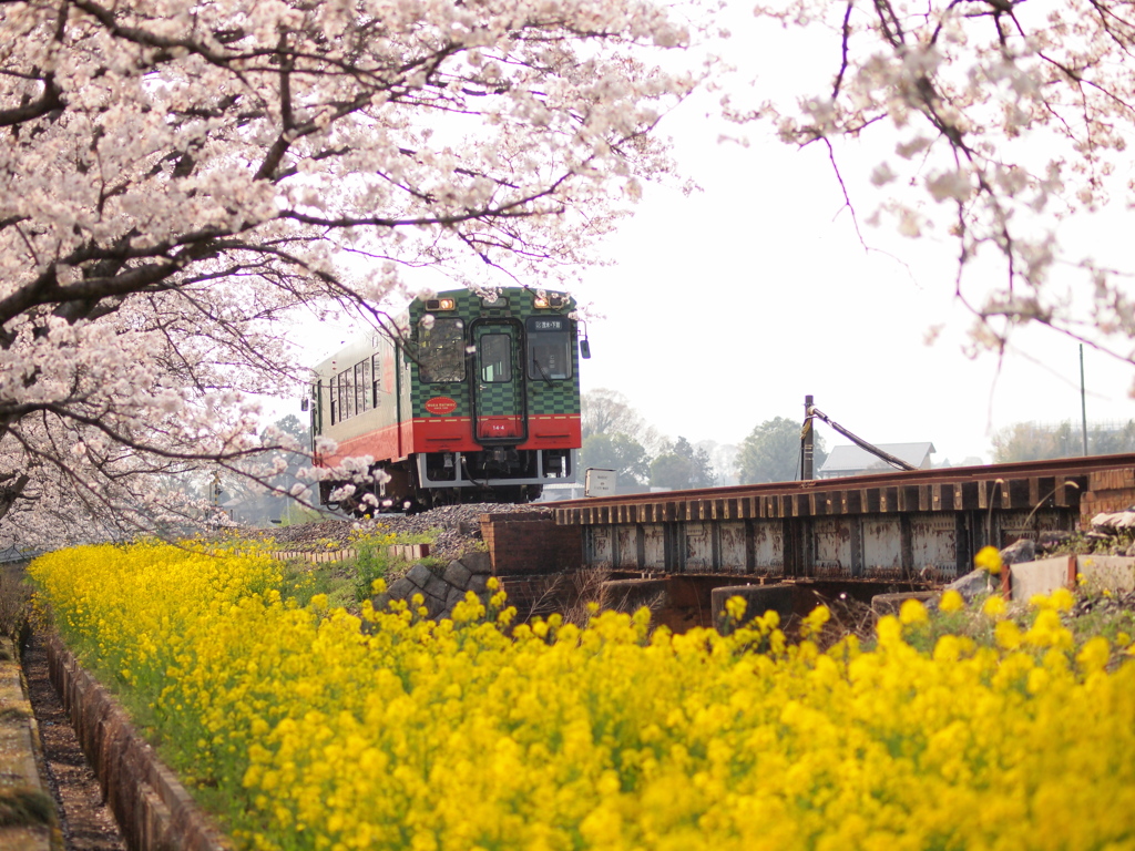 真岡鉄道