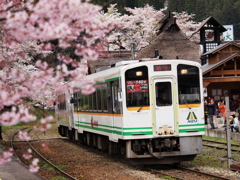 桜と会津鉄道