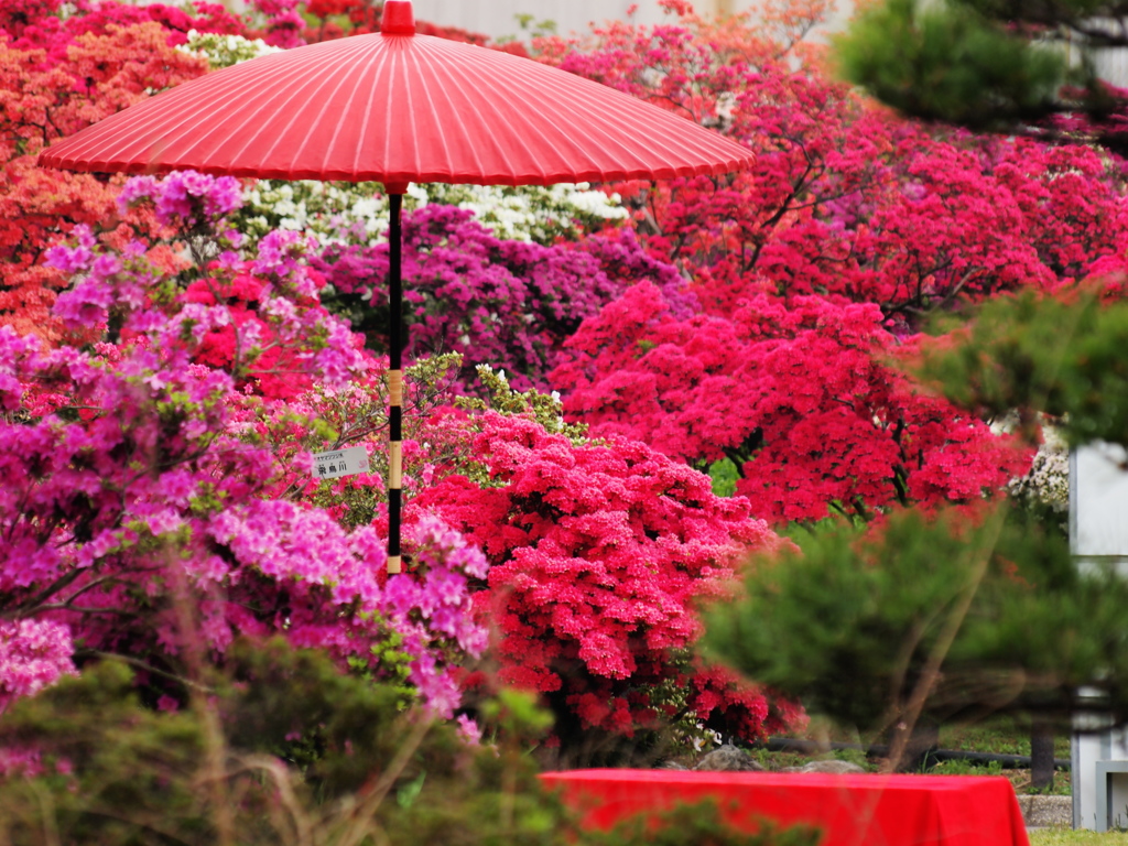 つつじの庭園
