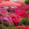 つつじの庭園