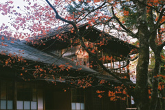 紅葉と旧邸