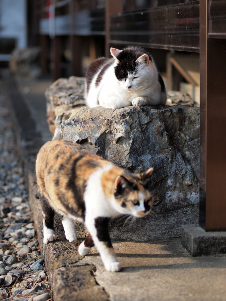 たまり場