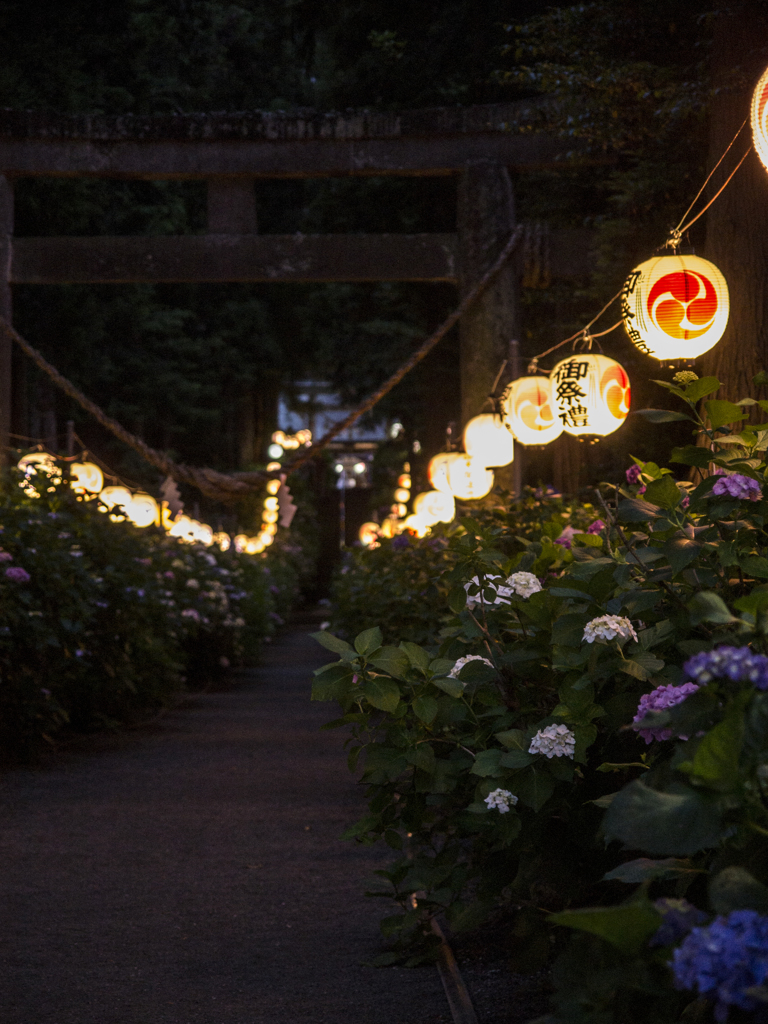 あじさい祭り