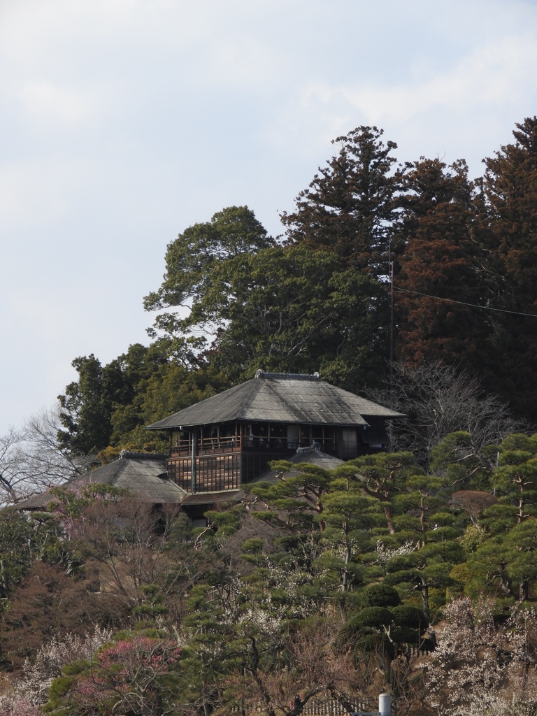 早春の庵