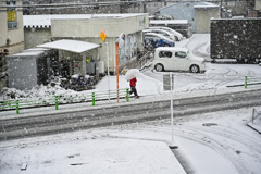 雪の日に