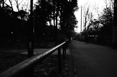 夕陽の道