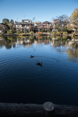 冬公園４