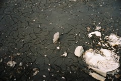 水のない池の底
