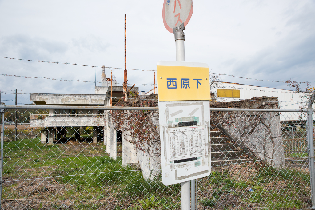 ロードサイド