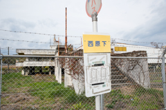 ロードサイド