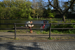 休業の春１