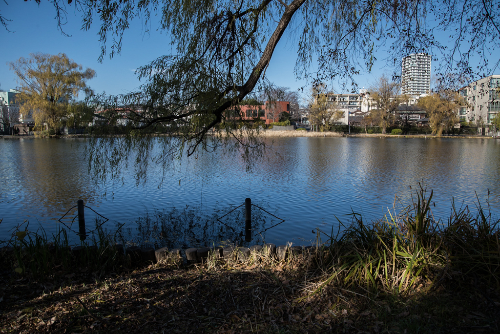 冬公園６