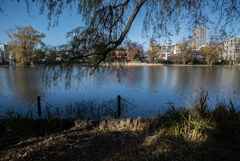 冬公園６
