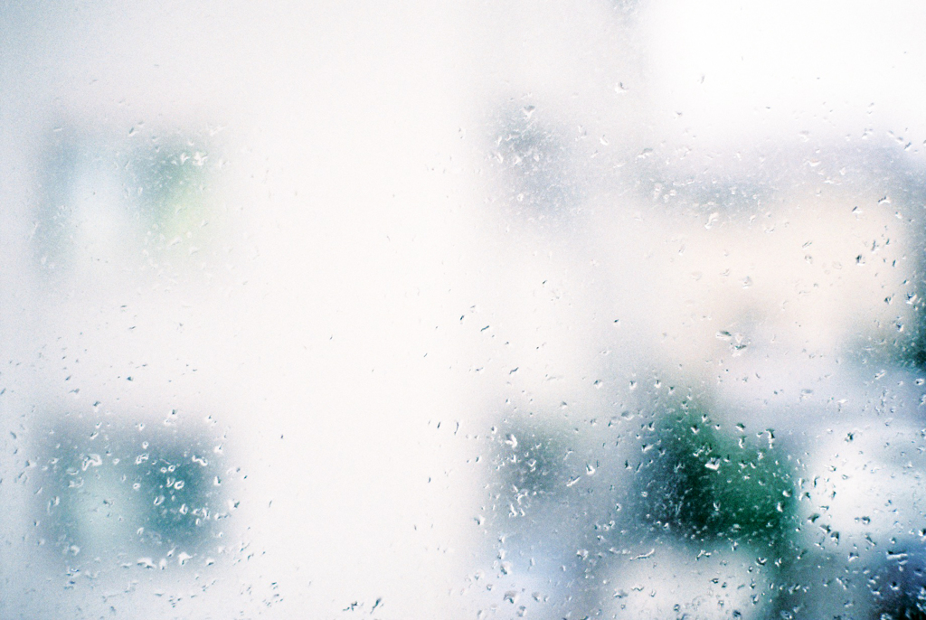 雨で休日