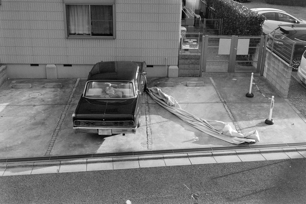 かぜの強い日