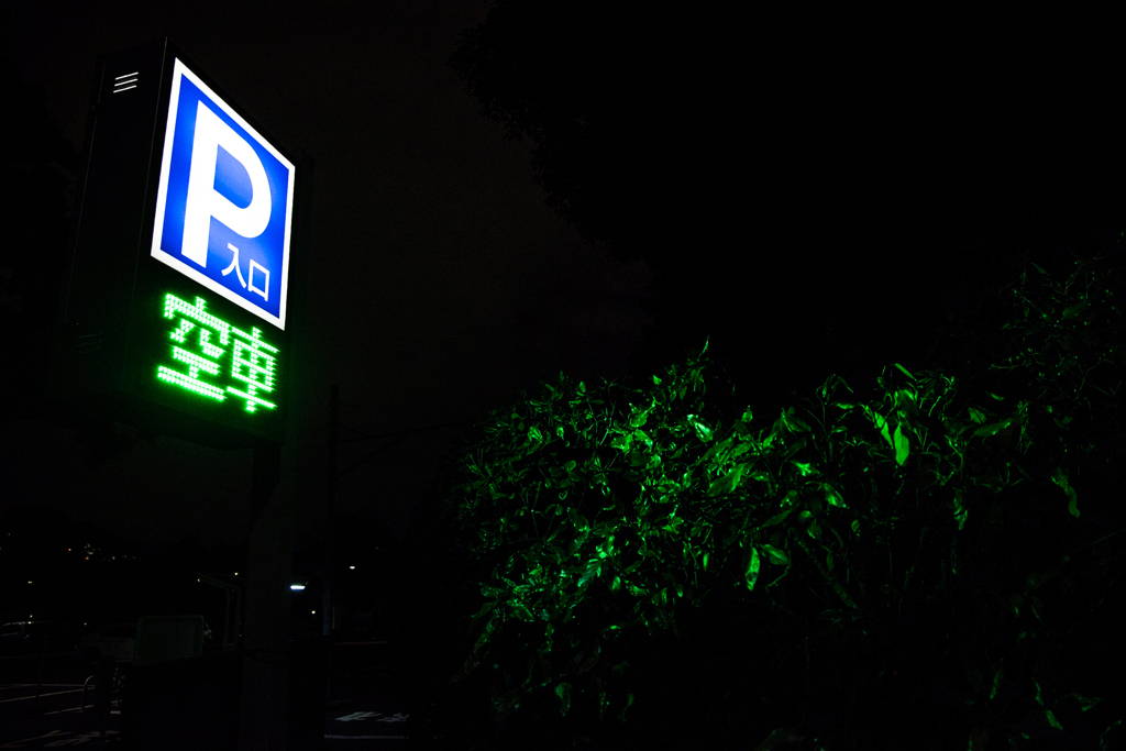 みどりのよる