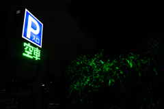 みどりのよる