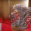 平成30年長浜盆梅展(1/9)