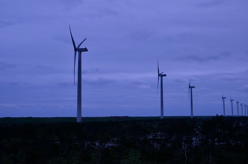 風力発電の並ぶ風景