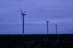 風力発電の並ぶ風景