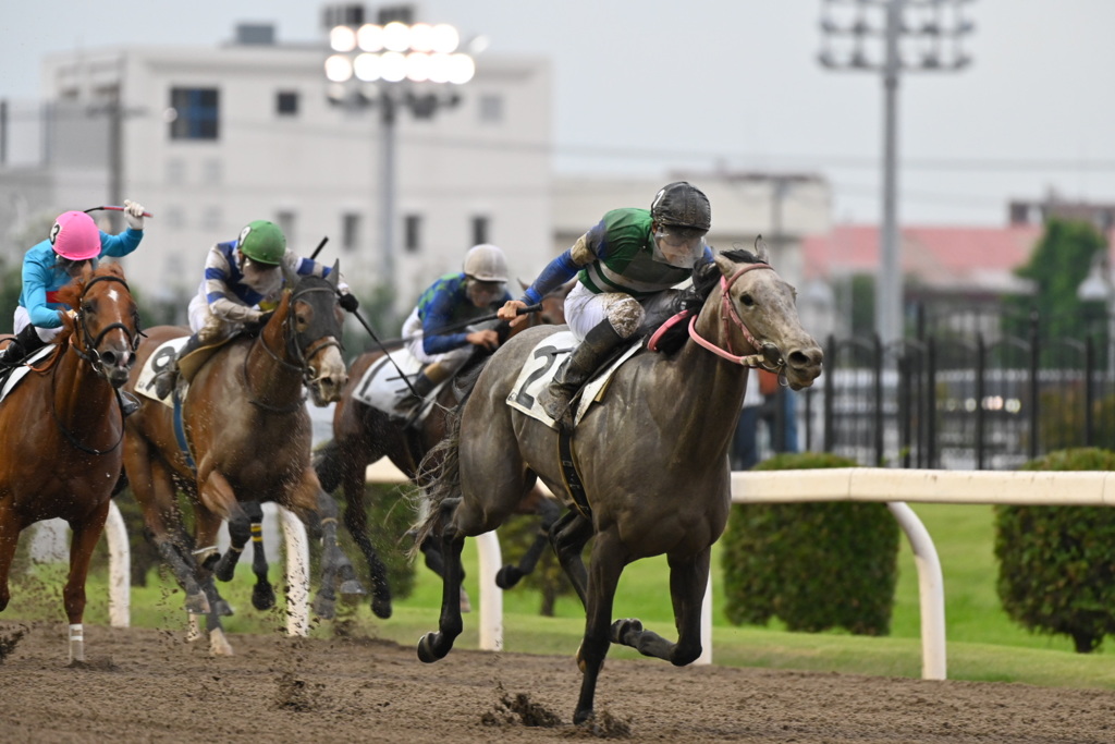 ナイター競馬 2