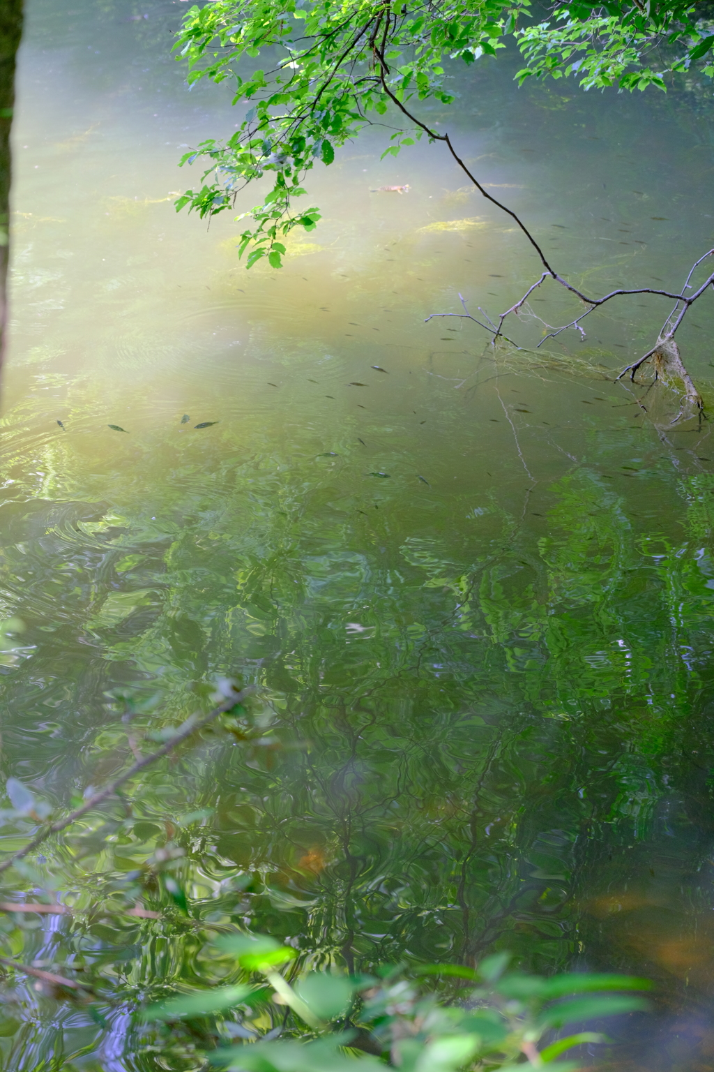 水鏡