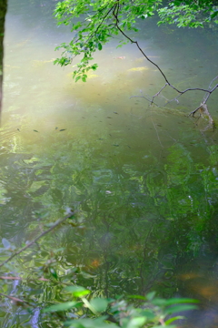 水鏡