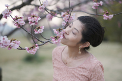 桜ポートレート