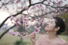 桜ポートレート