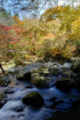 小田深山の紅葉